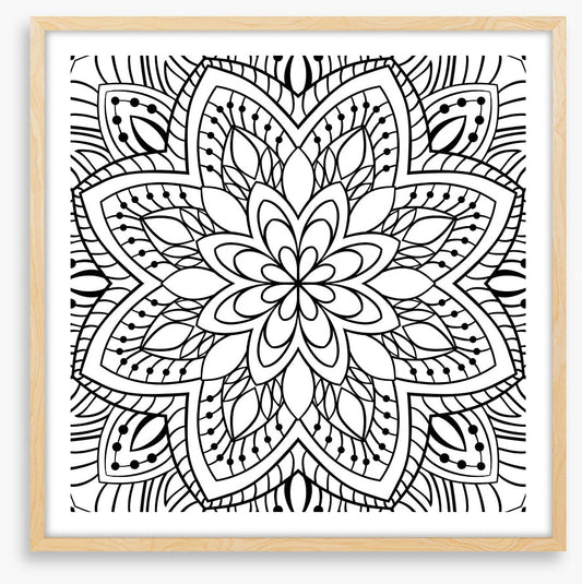 Colour me flower