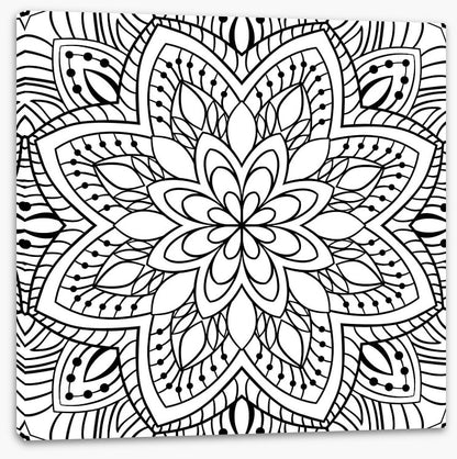 Colour me flower