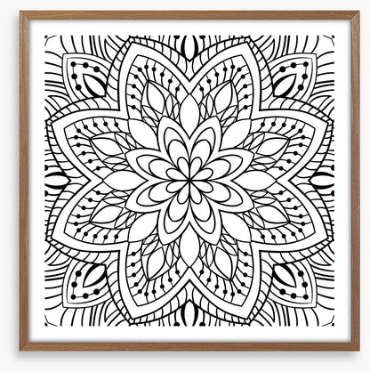 Colour me flower