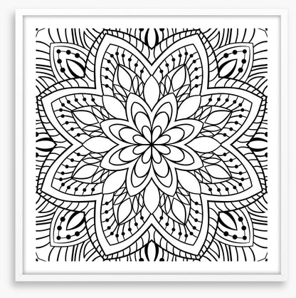 Colour me flower