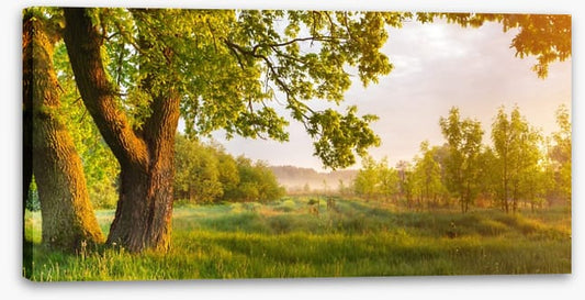 Trees