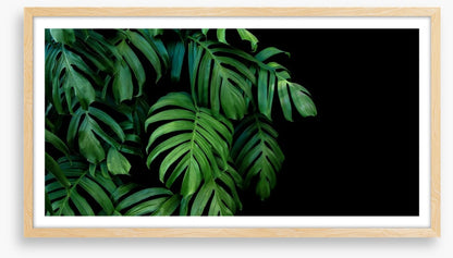 Leaves
