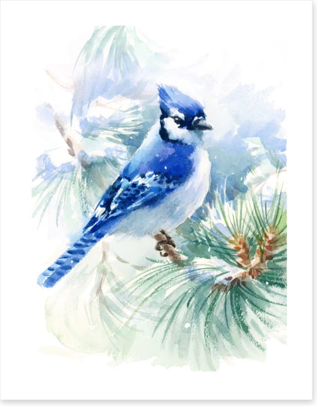 Blue jay snowfall
