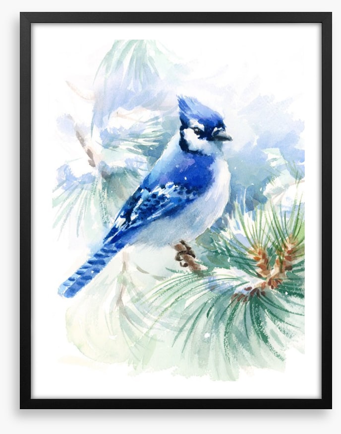 Blue jay snowfall