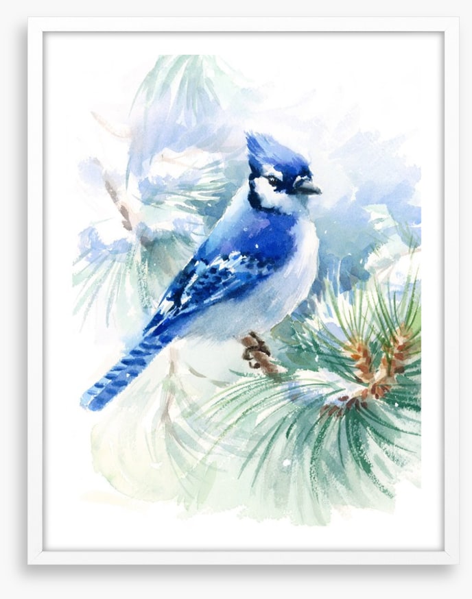 Blue jay snowfall