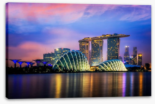 Shapes of Singapore