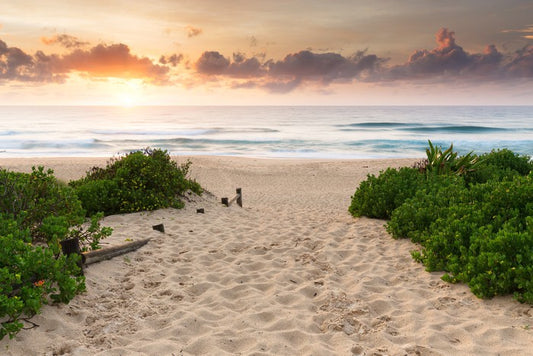 Dawn at the beach