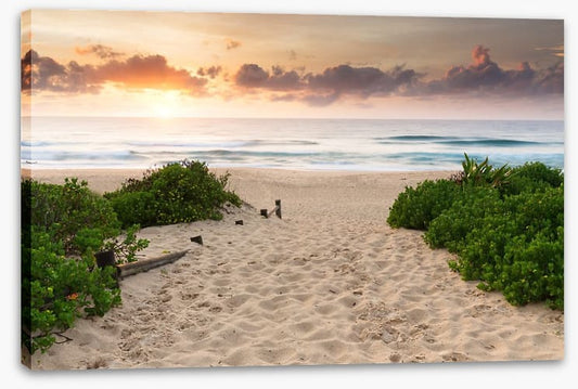 Dawn at the beach