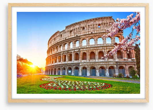 Spring at the Colosseum