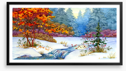 Maple stream snow