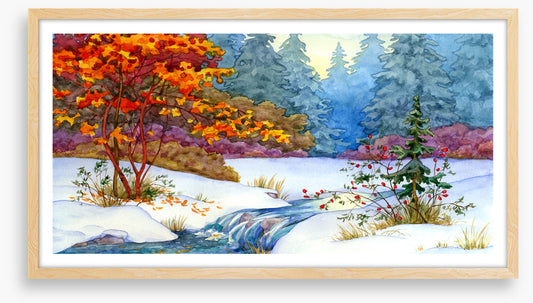Maple stream snow