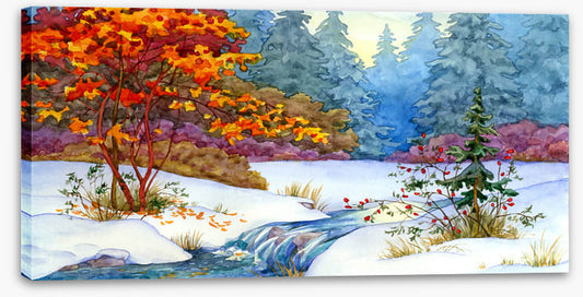 Maple stream snow