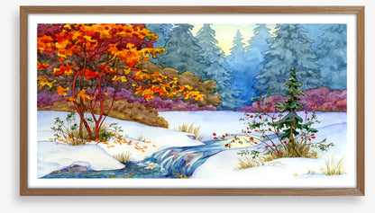 Maple stream snow