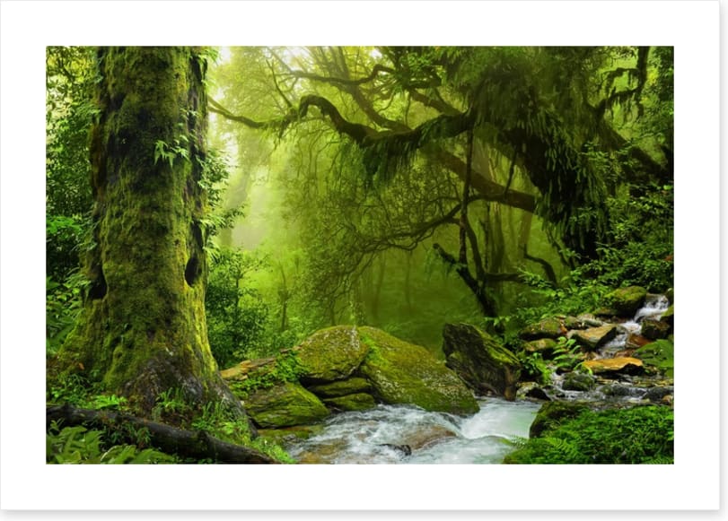 Sea of green