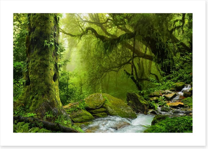 Sea of green