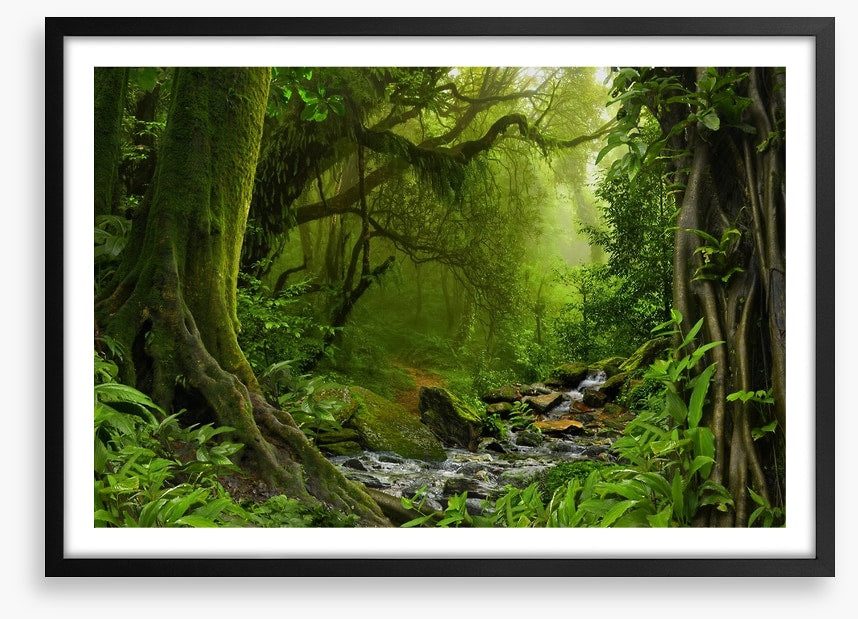 Jungle river