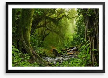 Jungle river