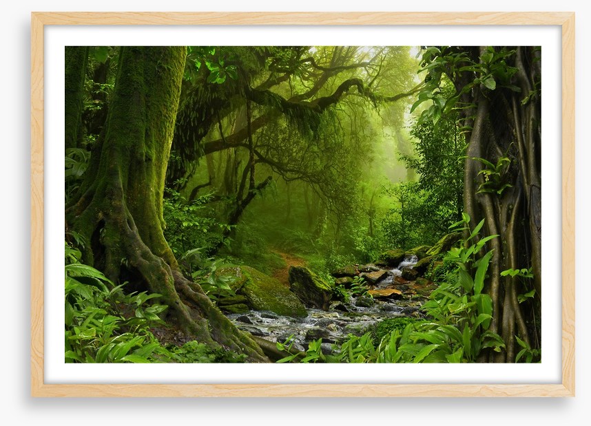 Jungle river