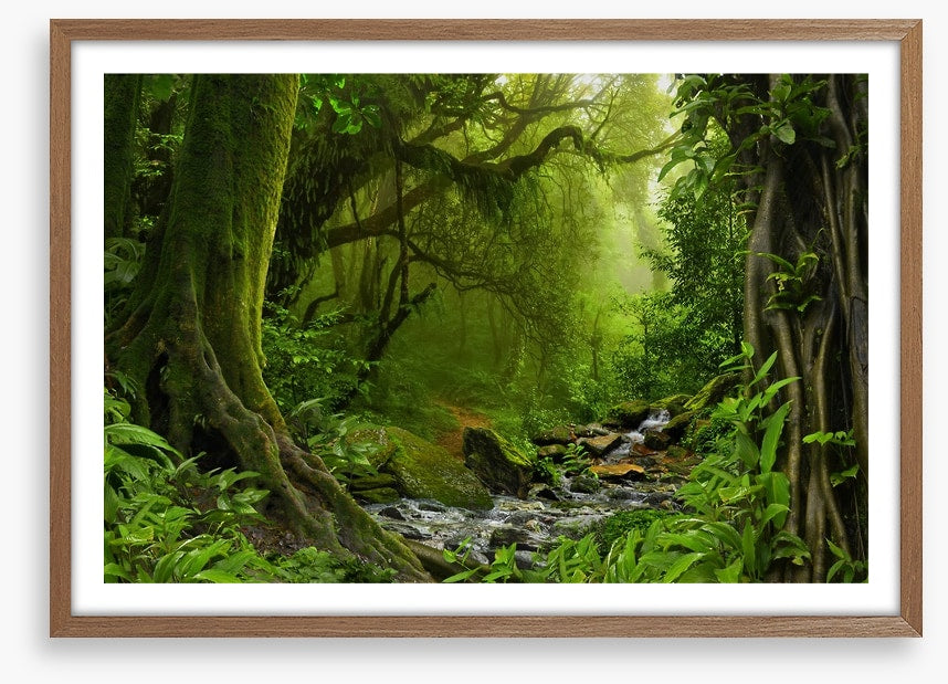 Jungle river