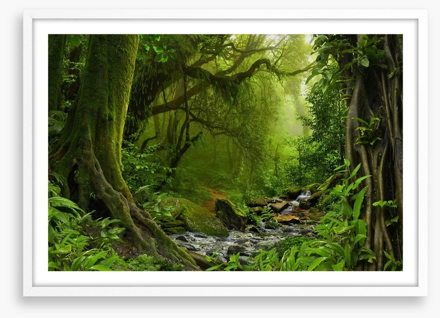 Jungle river