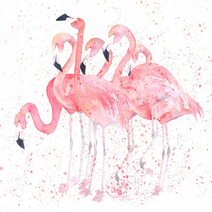 Flamingo flock