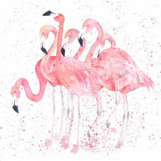 Flamingo flock