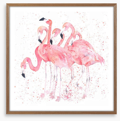 Flamingo flock