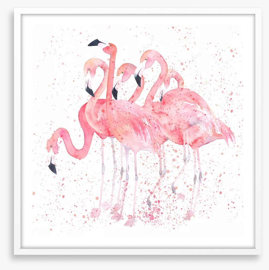 Flamingo flock