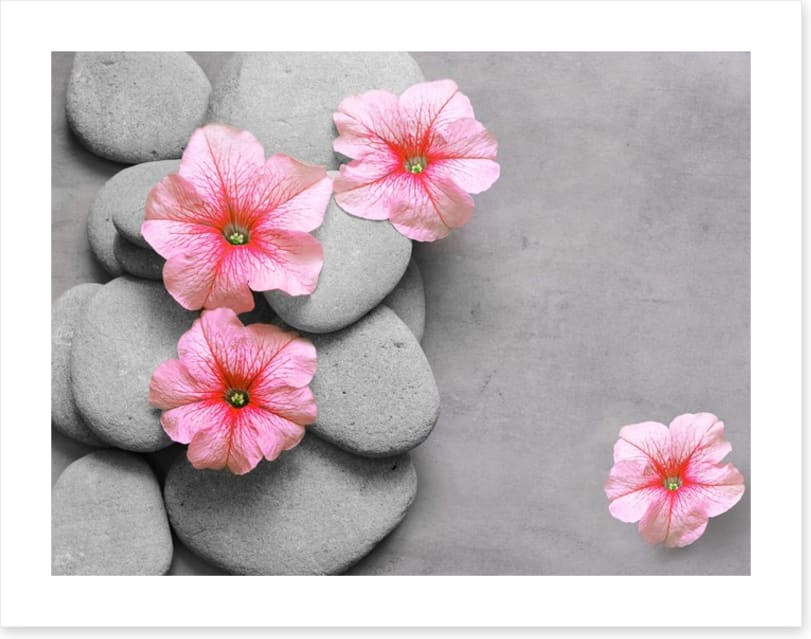 Petunia pebbles