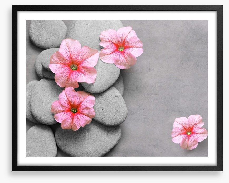 Petunia pebbles