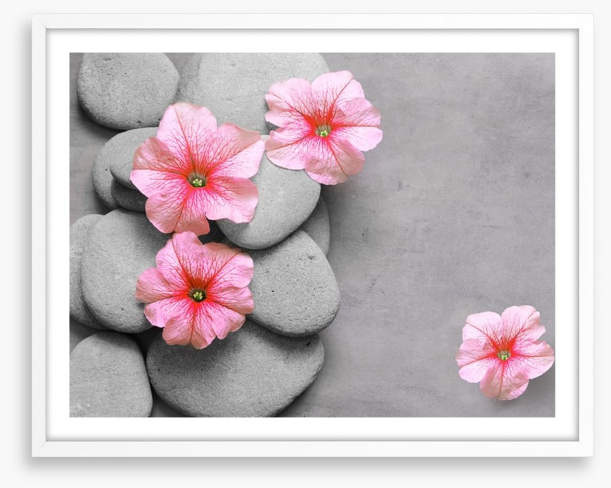 Petunia pebbles