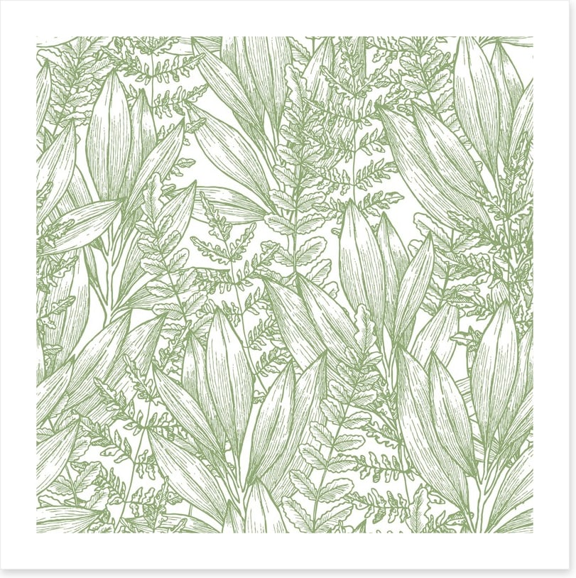Ferny flora