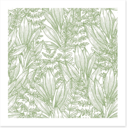 Ferny flora