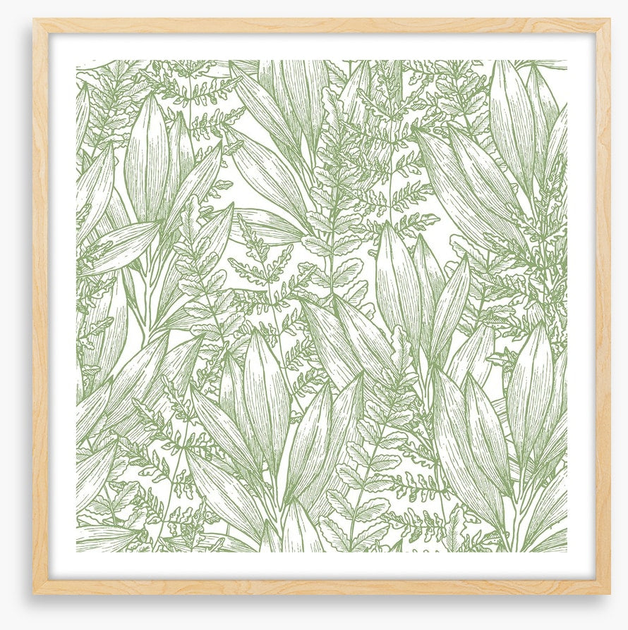 Ferny flora