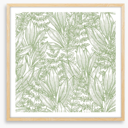Ferny flora