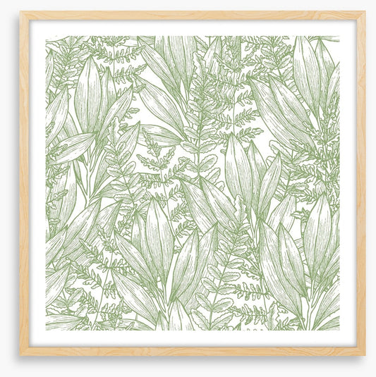 Ferny flora