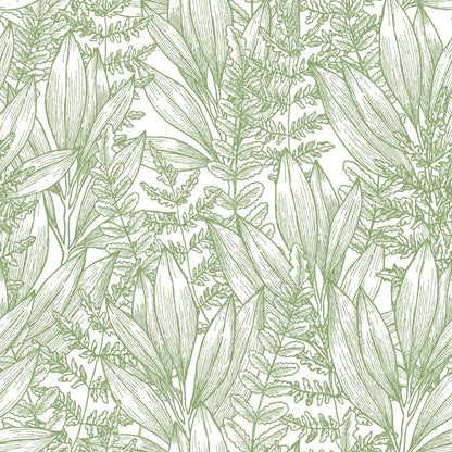 Ferny flora