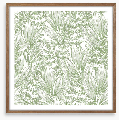 Ferny flora