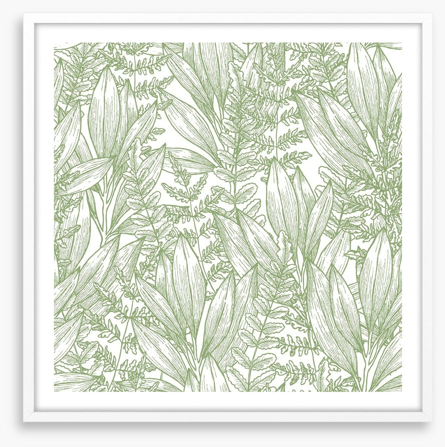 Ferny flora