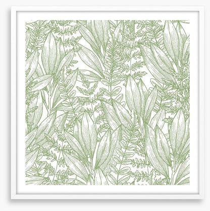 Ferny flora