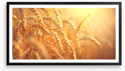 Agriculture