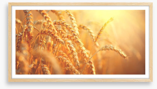 Agriculture