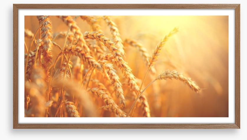 Agriculture