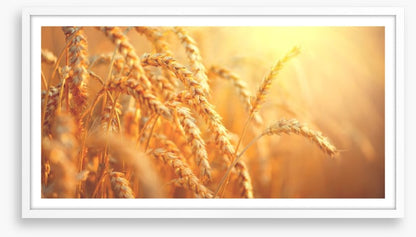 Agriculture