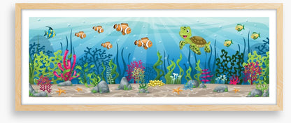 Coral capers
