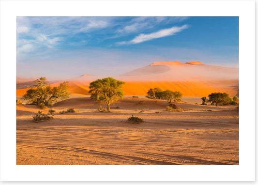 Africa