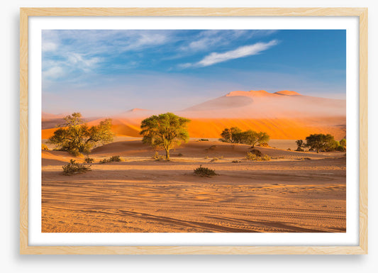 Africa