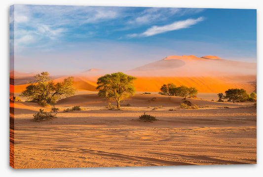 Africa
