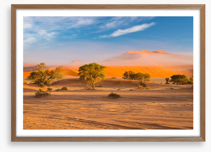 Africa