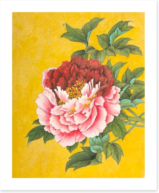 Peony on yellow
